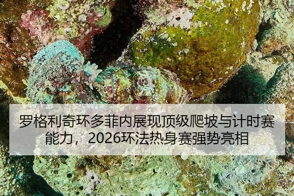 luo-ge-li-qi-huan-duo-fei-nei-zhan-xian-ding-ji-pa-po-yu-ji-shi-sai-neng-li-huan-fa-re-shen-sai-qiang-shi-liang-xiang-2-315.jpg